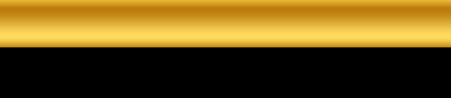 Vegas Style Slot